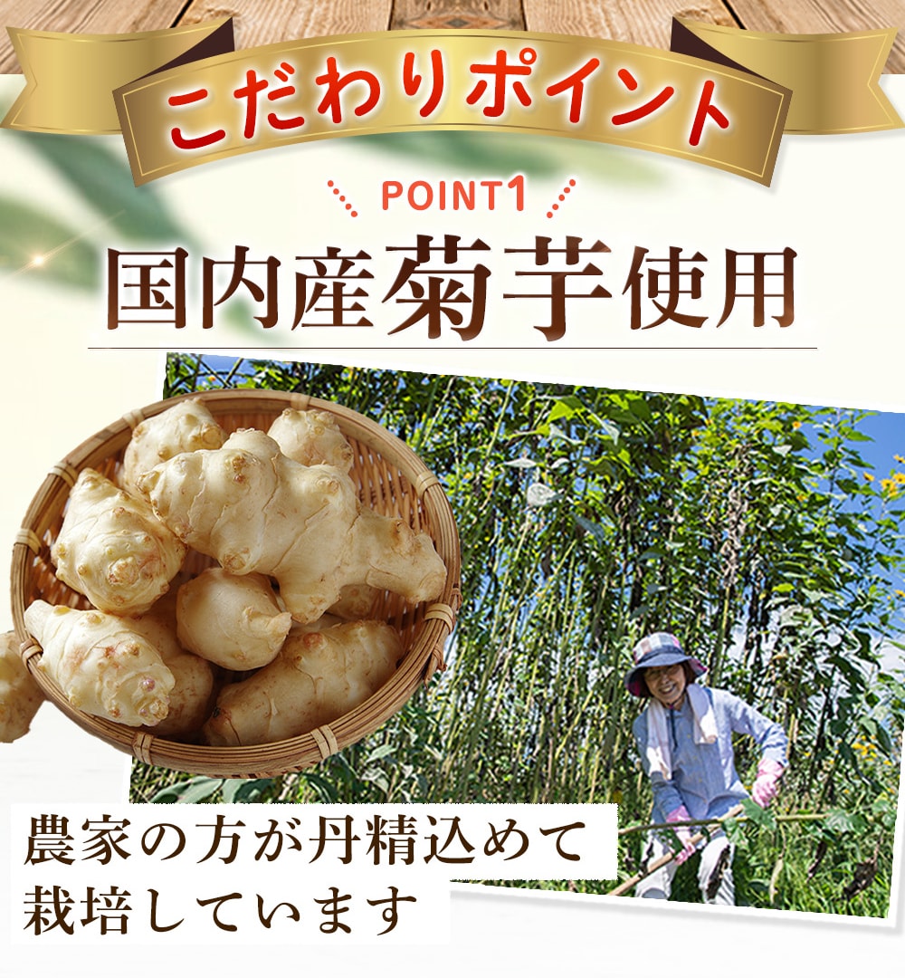 大自然の菊芋